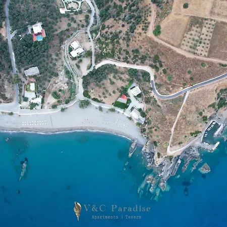 V&c Paradise * Ροδάκινο