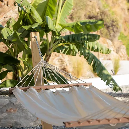V&c Paradise