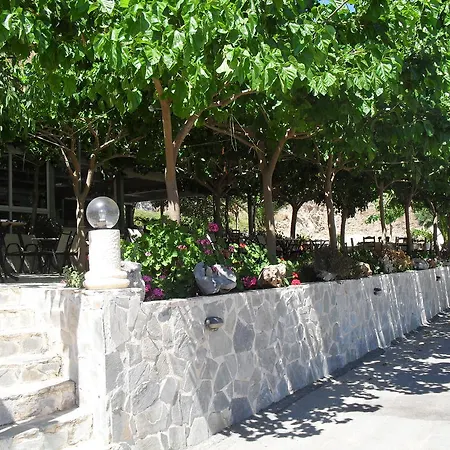 V&c Paradise * Ροδάκινο